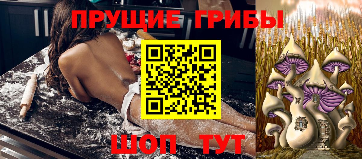 цены наркотик  Галлюциногенные грибы Cubensis  Солнечногорск  Вход с VPN  Галлюциногенные грибы Cubensis 